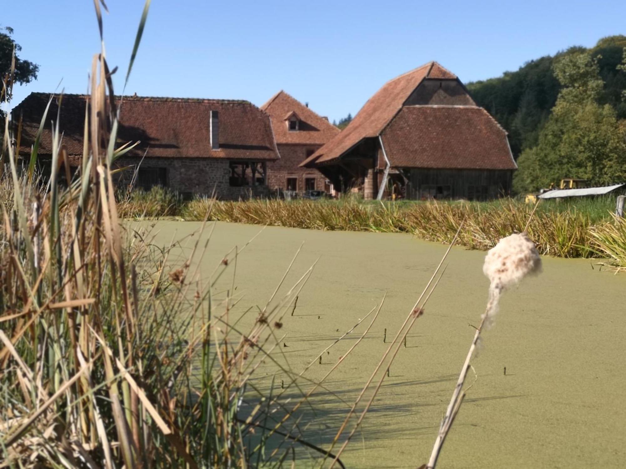 Soucht Maison D'Hotes De Charme - Ancien Moulin En Pleine Nature - La Paulusmuehle מראה חיצוני תמונה