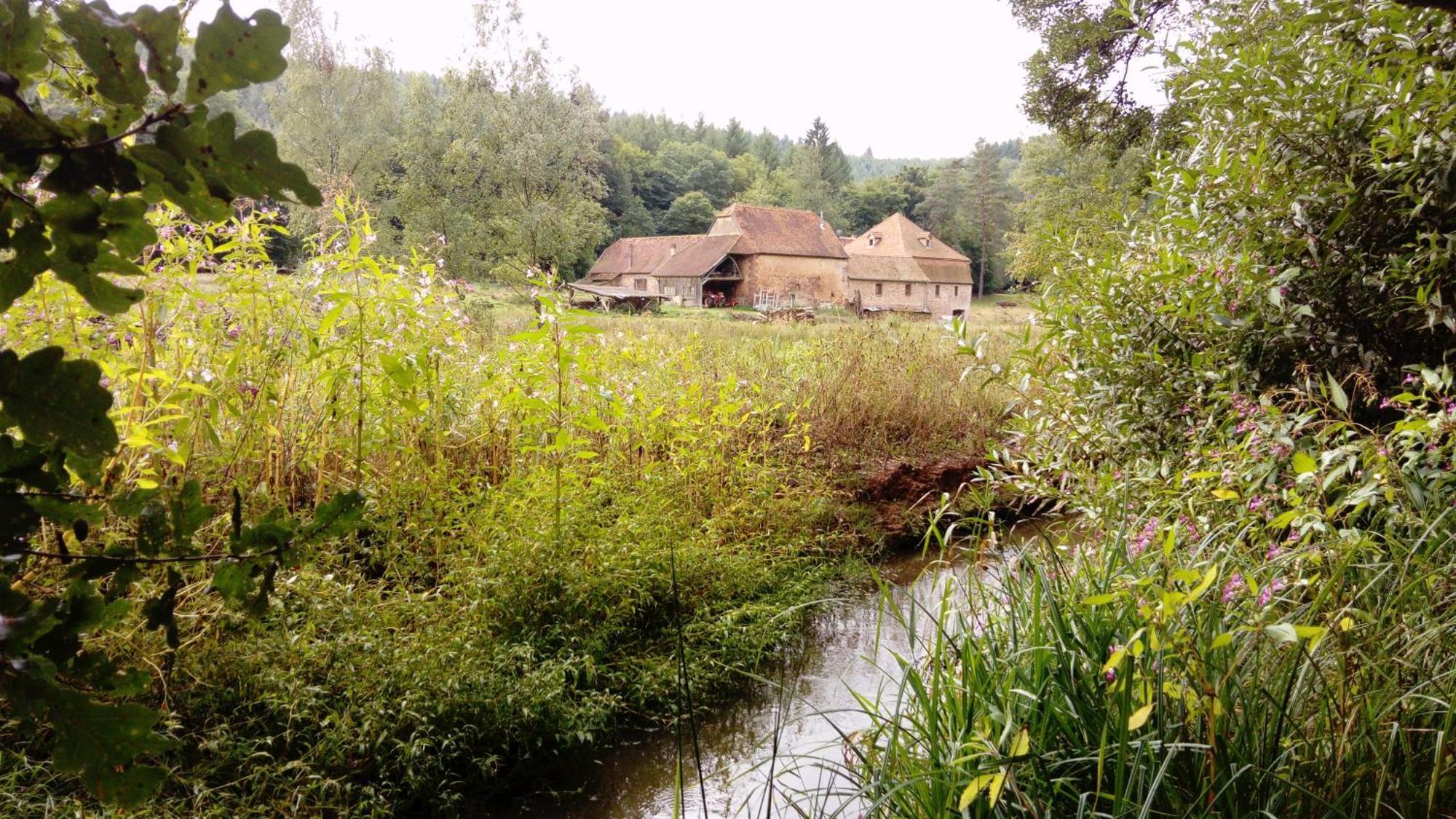 Soucht Maison D'Hotes De Charme - Ancien Moulin En Pleine Nature - La Paulusmuehle מראה חיצוני תמונה