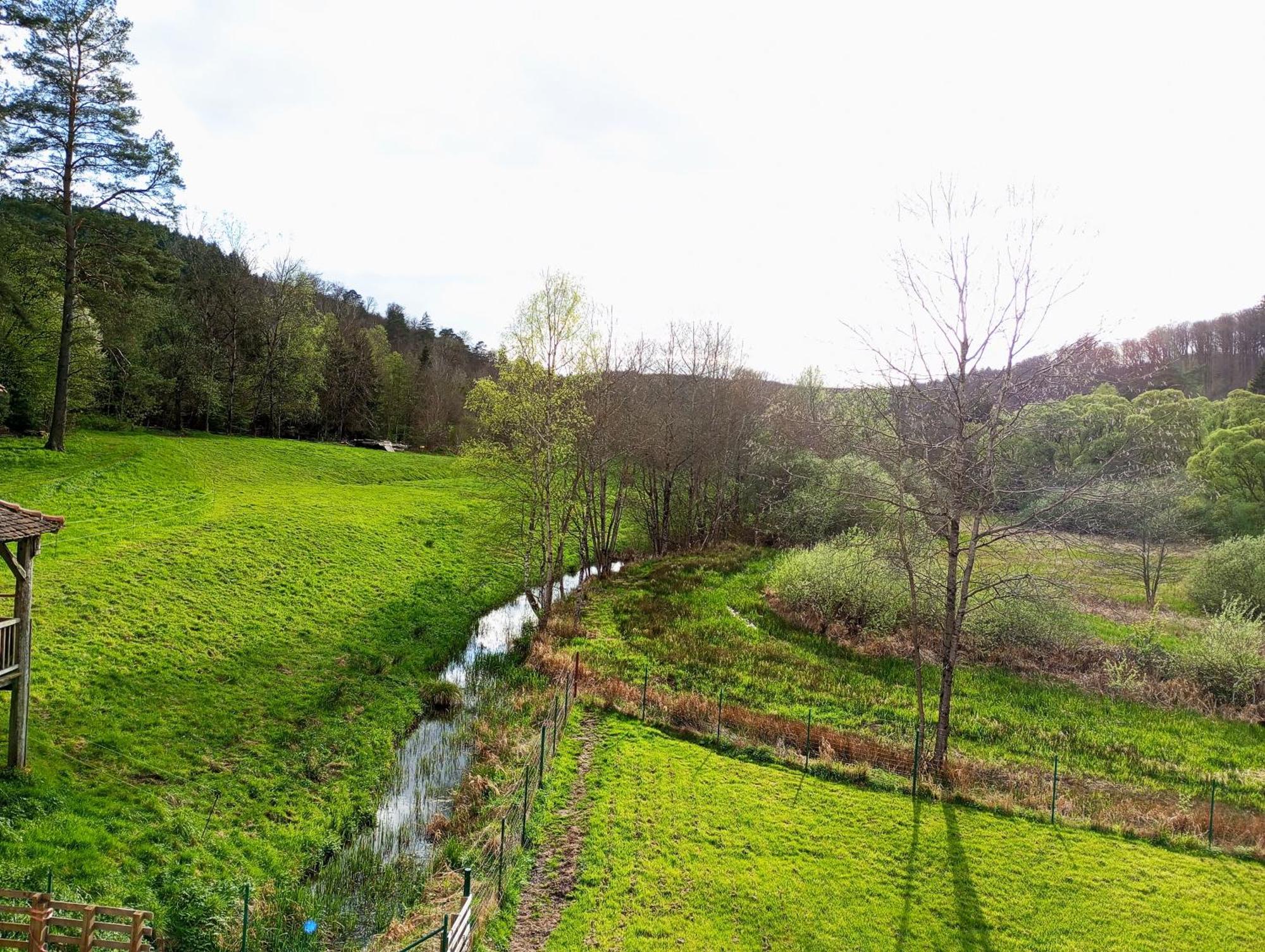 Soucht Maison D'Hotes De Charme - Ancien Moulin En Pleine Nature - La Paulusmuehle מראה חיצוני תמונה