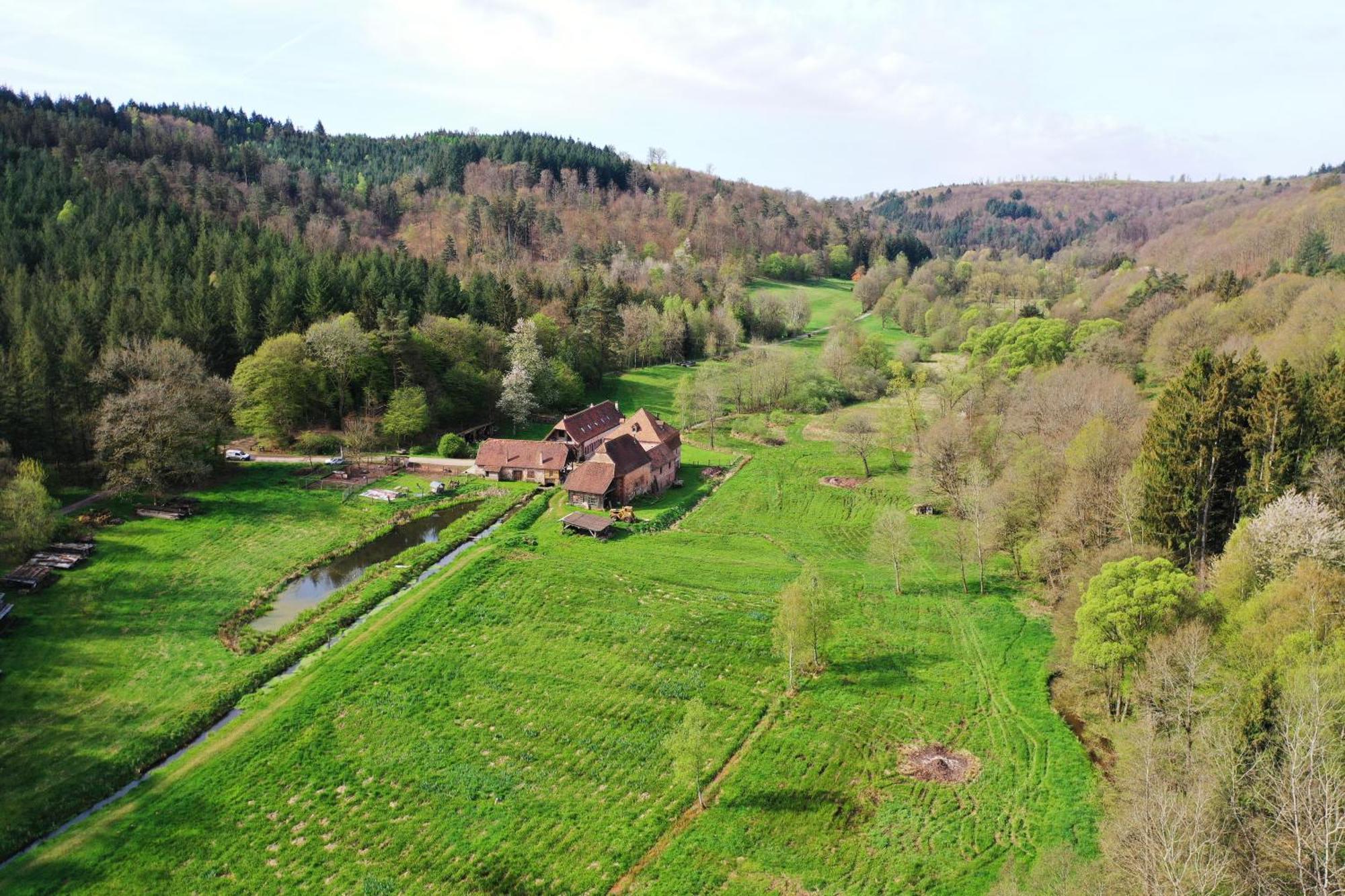 Soucht Maison D'Hotes De Charme - Ancien Moulin En Pleine Nature - La Paulusmuehle מראה חיצוני תמונה