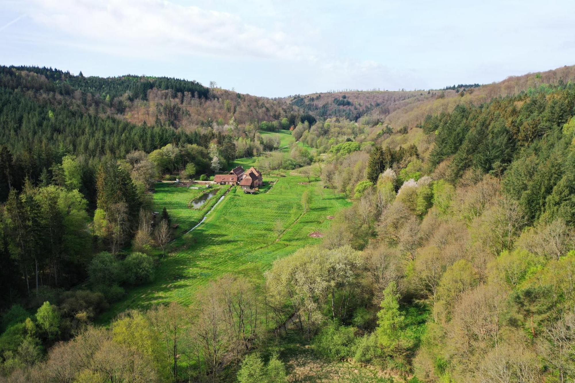 Soucht Maison D'Hotes De Charme - Ancien Moulin En Pleine Nature - La Paulusmuehle מראה חיצוני תמונה
