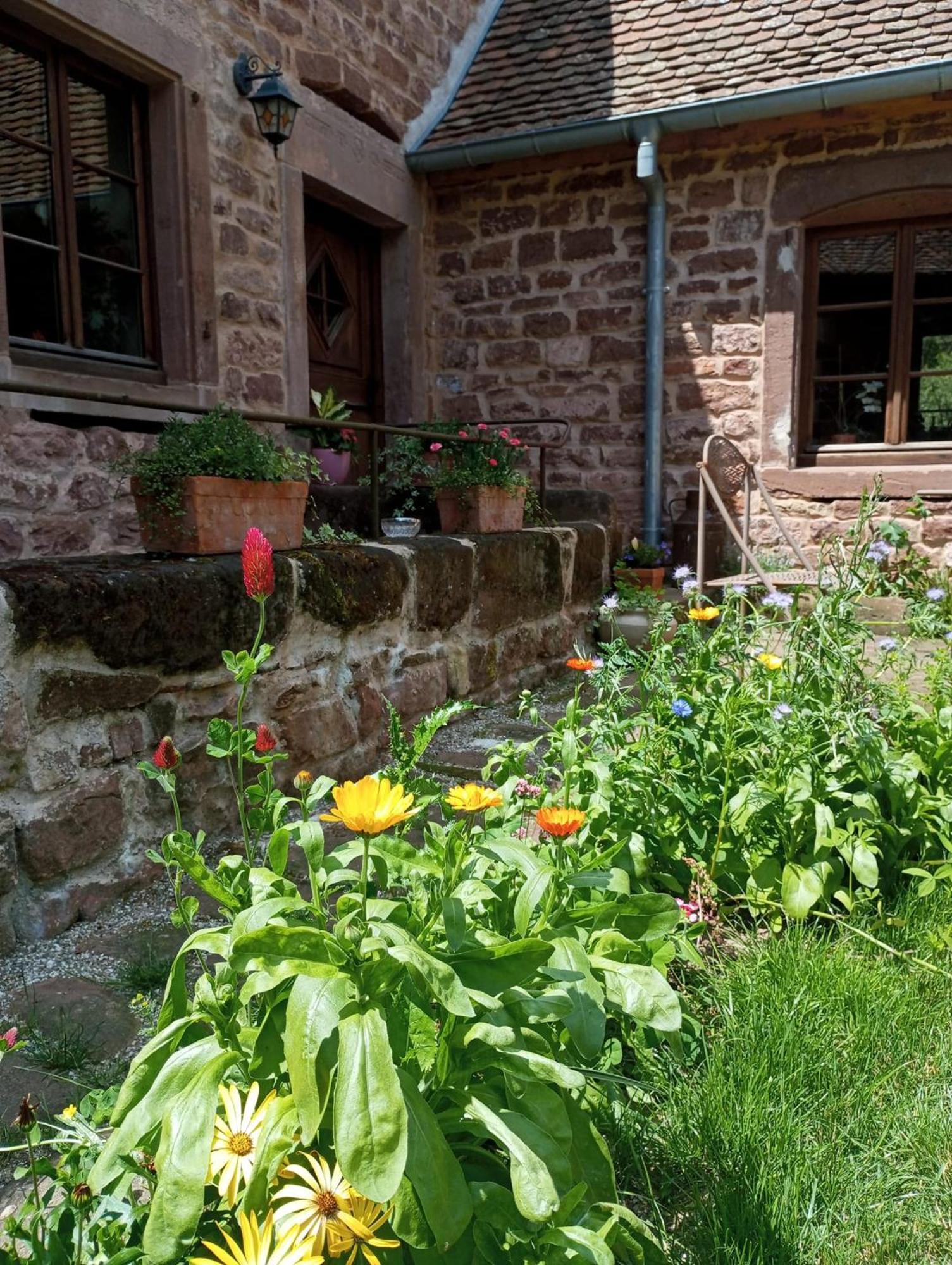 Soucht Maison D'Hotes De Charme - Ancien Moulin En Pleine Nature - La Paulusmuehle מראה חיצוני תמונה